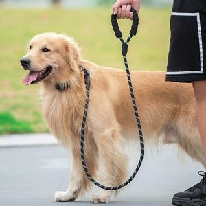 iYoShop 5ft Reflective Dog Leash